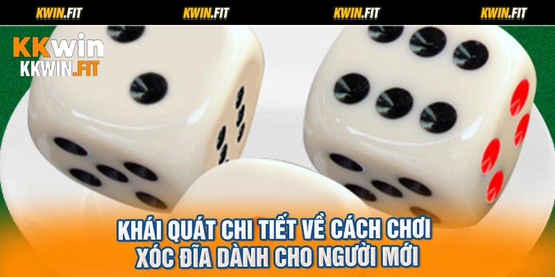 Khái quát chi tiết về cách chơi xóc đĩa dành cho người mới