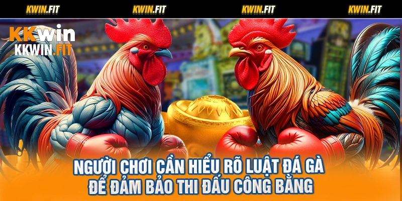 Người chơi cần hiểu rõ luật đá gà để đảm bảo thi đấu công bằng