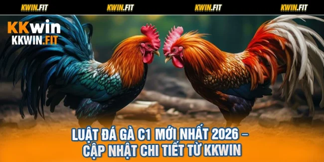 Luật Đá Gà C1 Mới Nhất 2026 – Cập Nhật Chi Tiết Từ KKWIN